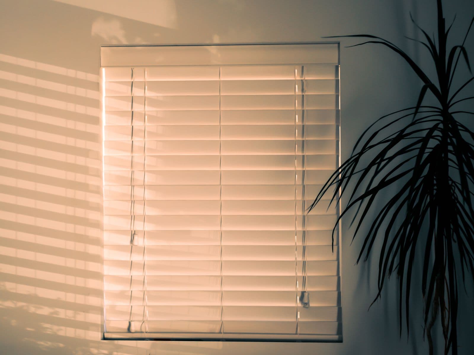 Blinds Cleaning